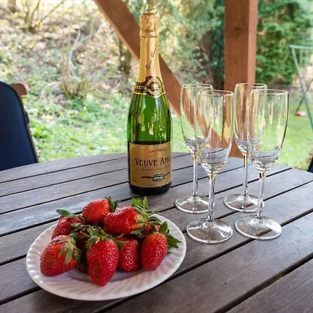 Beautiful With Garden Holiday home Bad Pyrmont